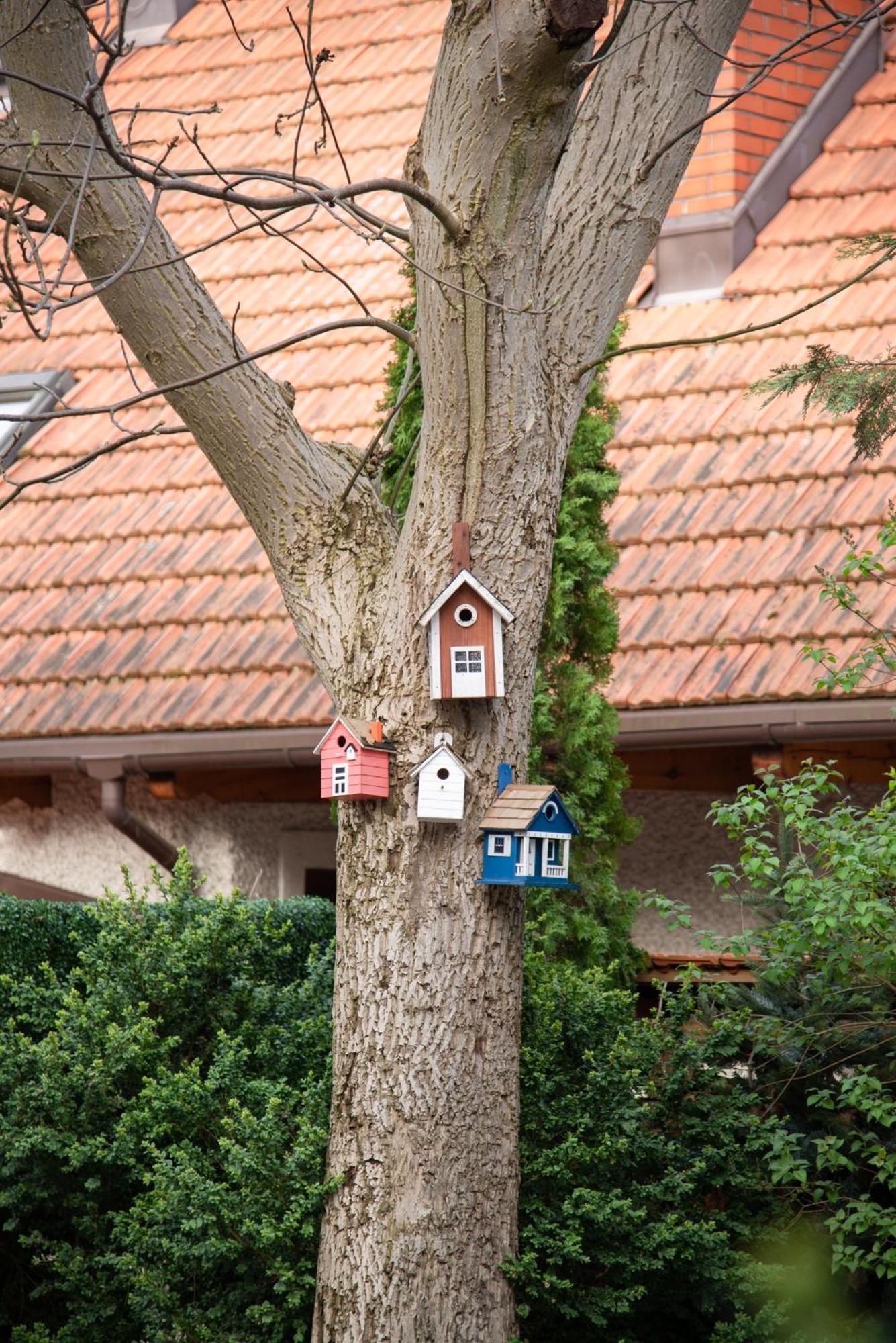 Julius Apartment Sopot